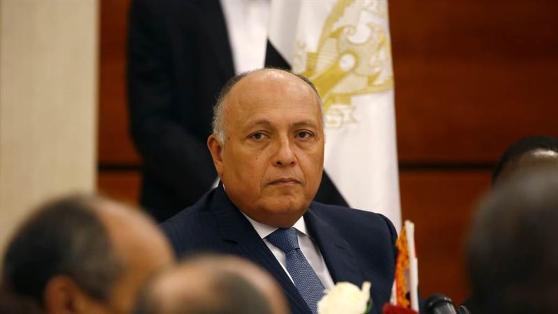 سامح شكري وزير خارجية