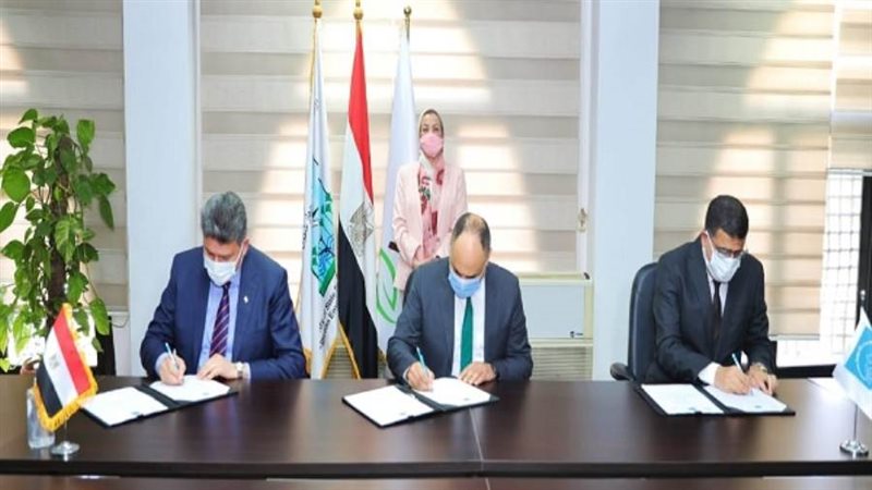 الشورى