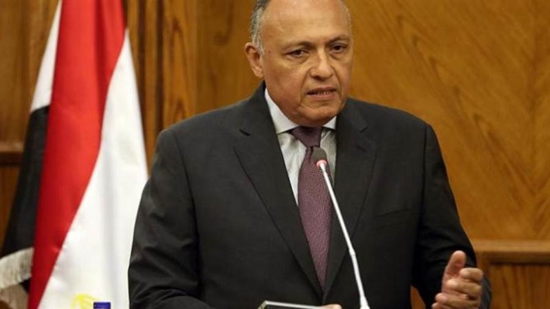 سامح شكري