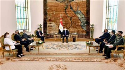 السيسي يستقبل نائب رئيس البرازيل: نتطلع للاستفادة من تجربتكم التنموية