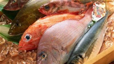 أسعار الأسماك في الأسواق اليوم الأربعاء 29 سبتمبر