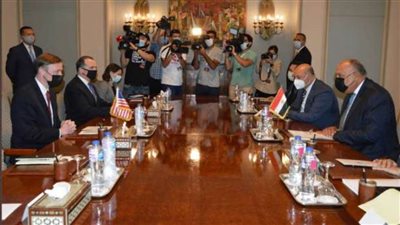 «شكري» يلتقي مستشار الأمن القومي الأمريكي 