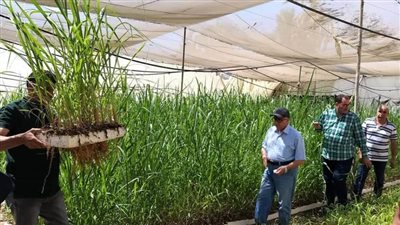 الزراعة تواصل متابعة أصولها في محافظتي قنا والأقصر وتتابع جهود تحديث الري ومكافحة دودة الحشد 