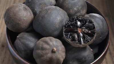 ننشر أهم فوائد 