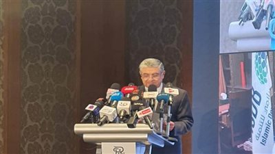  بتكلفة 1.8 مليار دولار.. مصر والسعودية توقعان عقود مشروع الربط الكهربائي (صور)