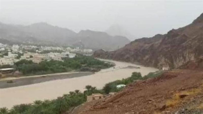 أرشيفية