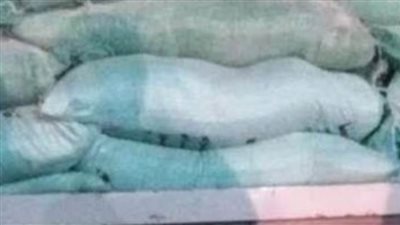 ضبط 7 أطنان دقيق مدعم قبل تهريبهم وبيعهم فى السوق السوداء بالشرقية