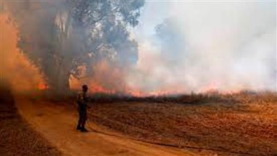 فيديو| حرائق ضخمة تلتهم مساحات شاسعة من غابات عكار