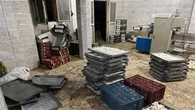 الصحة: ضبط وإعدام 27 طن حلوى وأغذية متنوعة غير صالحة للاستهلاك بمحافظات الجمهورية (صور)