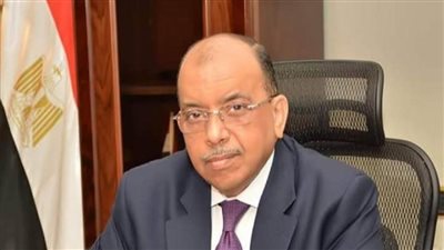 وزير التنمية المحلية يصدر قرارا بإعادة تشكيل وحدة حقوق الإنسان بالوزارة (تفاصيل)