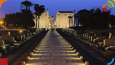 نائبة برلمانية: تطوير طريق الكباش سيحقق طفرة اقتصادية للأقصر (فيديو)