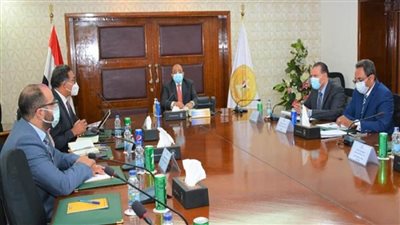 شعراوي: برنامج التنمية المحلية بالصعيد ساهم في خفض معدلات الفقر والبطالة (صور)