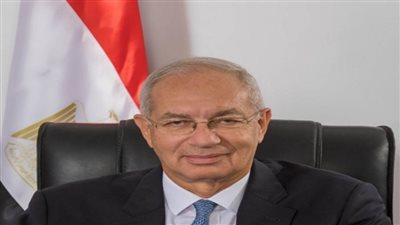 المنطقة الاقتصادية لقناة السويس تشارك بفعاليات متميزة بالجناح المصري في إكسبو دبي 2020