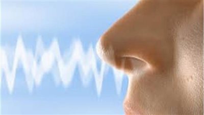 دراسة.. تكشف الأهمية الكبيرة لحاسة الشم 