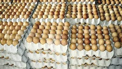 التموين: طرح كرتونة البيض داخل المجمعات الاستهلاكية بـ 47 جنيها