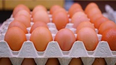 هذه خطه الحكومة للسيطرة على أزمة ارتفاع أسعار البيض 