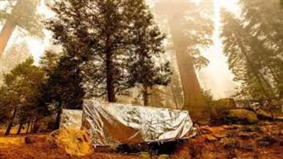 كاليفورنيا تحظر جزازات العشب وكانس أوراق الشجر