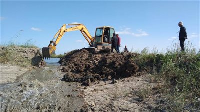 استمرار حملات إزالة التعديات علي الأراضي الزراعية بجنوب بورسعيد