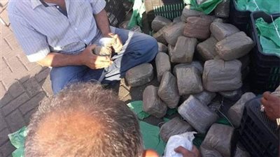 إحباط تهريب 1.7 مليون قرص مخدر عبر جمارك شرق بورسعيد