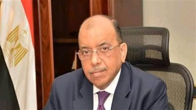 شعراوي يتلقى تقريرا حول نتائج مشاركة جناح برنامج التنمية المحلية في 