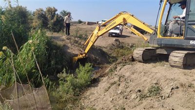 إزالة عدد١٧ مزرعة سمكية بإجمالي ٥٩فدان في جمعية العبور الزراعية بجنوب بورسعيد