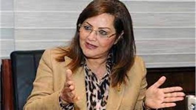 «التخطيط» توضح تفاصيل محاور البرنامج القطرى  