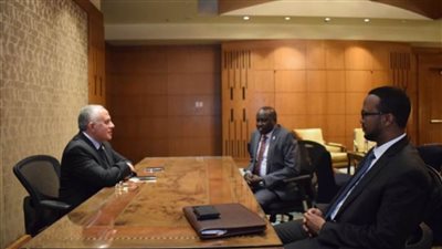 وزير الري: ندعم الصومال وجنوب السودان بمجال حصاد مياه الأمطار ونظم الإنذار المبكر