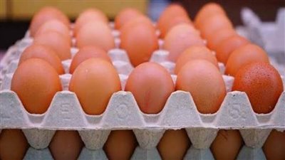 انخفاض أسعار البيض.. والطبق بـ 45 جنيها في المنافذ الحكومية 