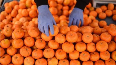  بها مواد ضارة.. روسيا تحظر استيراد منتجات زراعية من تركيا