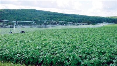 بالإنفوجراف | 