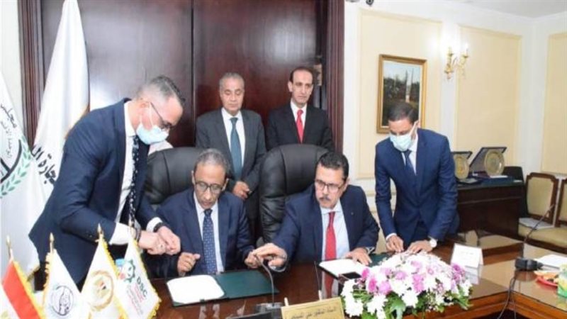 الشورى
