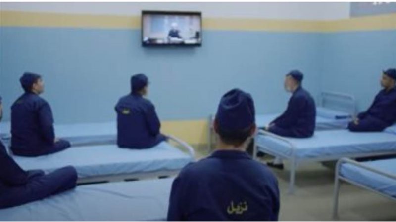 الشورى