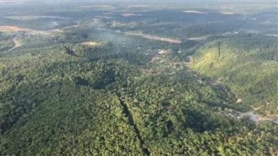  بفعل البشر..اختفاء غابات الامازون نهائياً في غضون اجيال عدة 