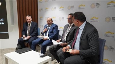 وزير التنمية المحلية يشارك في جلسة 