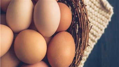 انخفاض أسعار البيض في المزارع اليوم 6 نوفمبر 
