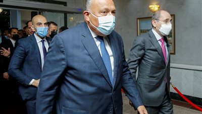 شكري يدعو لسرعة استئناف مفاوضات سد النهضة