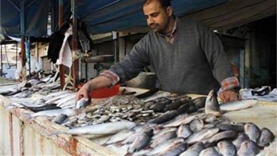 أسعار الأسماك في سوق العبور اليوم الأربعاء