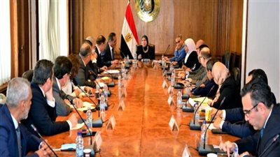 وزيرة التجارة تبحث مع ممثلي المجالس التصديرية سبل تعزيز الصادرات المصرية للأسواق الخارجية 