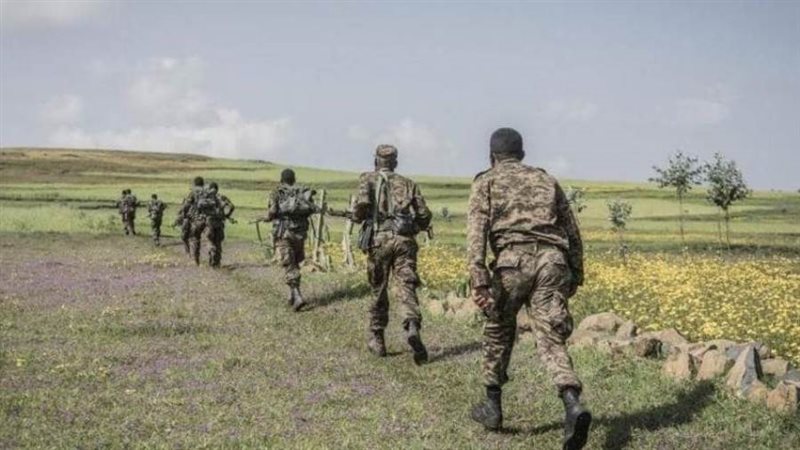 أرشيفية