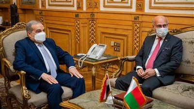 وزير الإنتاج الحربي يبحث مع وزير خارجية مدغشقر سبل تعزيز التعاون المشترك (صور)