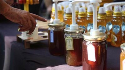 ذهب مصر السائل.. انطلاق مهرجان العسل المصرى بمشاركة 100 منتج وعارض