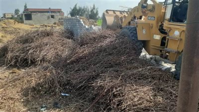 محافظ بورسعيد:إزالة٦ حالات تعدي علي أرض زراعية بمساحة إجمالية١٩٠٠م جنوب بورسعيد