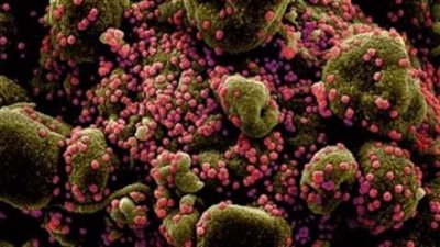 ولاية نيويورك تعلن الطوارئ لمواجهة متحور أوميكرون