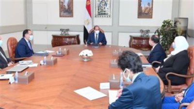 الرئيس السيسي يوجه بالاستمرار فى جهود تطوير شركات قطاع الأعمال العام