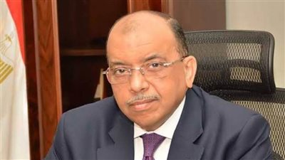 شعراوي: رصف 22.5 ألف طريق محلي بتكلفة 46.8 مليار جنية خلال 7 سنوات