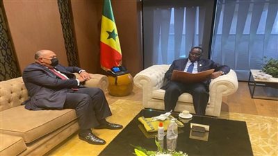 شكري يلتقي الرئيس السنغالي ويسلمه رسالة من الرئيس السيسي 