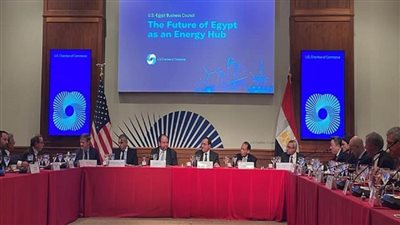 وزير البترول يبحث مع نواب الكونجرس بواشنطن التنسيق المصري الأمريكي في منتدي غاز شرق المتوسط ومؤتمر المناخ (صور)