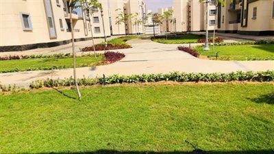 جهاز حدائق العاصمة يحتفل بمرور عام على قرار إنشاء المدينة (صور)