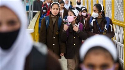 الحكومة تكشف حقيقة حذف أجزاء من المناهج التعليمية للابتدائية والإعدادية