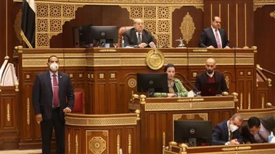 وزيرة البيئة تستعرض الخطة الوطنية لمواجهة التغيرات المناخية